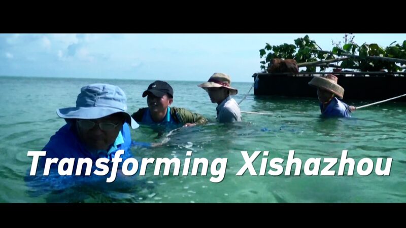 From_Barren_to_Green__Xishazhou_s_Incredible_Transformation___poster - News for amigos, by amigos From_Barren_to_Green__Xishazhou_s_Incredible_Transformation__ video poster