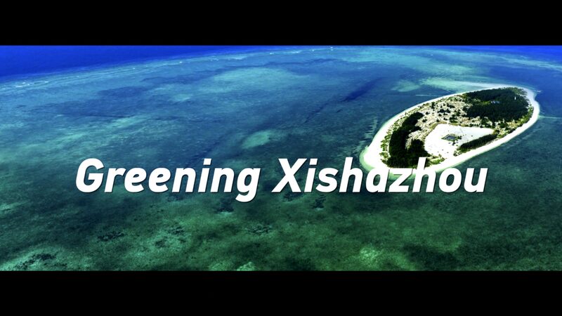 From_Barren_to_Oasis__Xishazhou_s_Amazing_Green_Transformation___poster - News for amigos, by amigos From_Barren_to_Oasis__Xishazhou_s_Amazing_Green_Transformation__ video poster
