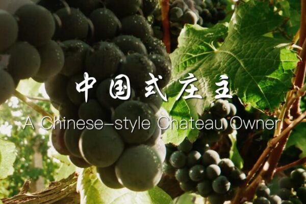 From Bordeaux to Helan Mountains: Zhang Yanzhi’s Chinese-Style Chateau Dream From_Bordeaux_to_Helan_Mountains__Zhang_Yanzhi_s_Chinese_Style_Chateau_Dream video poster