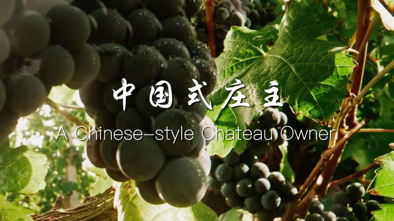 From_Bordeaux_to_Helan_Mountains__Zhang_Yanzhi_s_Chinese_Style_Chateau_Dream_poster - News for amigos, by amigos From_Bordeaux_to_Helan_Mountains__Zhang_Yanzhi_s_Chinese_Style_Chateau_Dream video poster