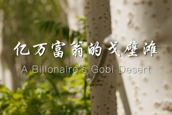 From_Desert_Dust_to_Wine_Must__A_Billionaire_s_Gobi_Vineyard_Dream___poster - News for amigos, by amigos From_Desert_Dust_to_Wine_Must__A_Billionaire_s_Gobi_Vineyard_Dream__ video poster