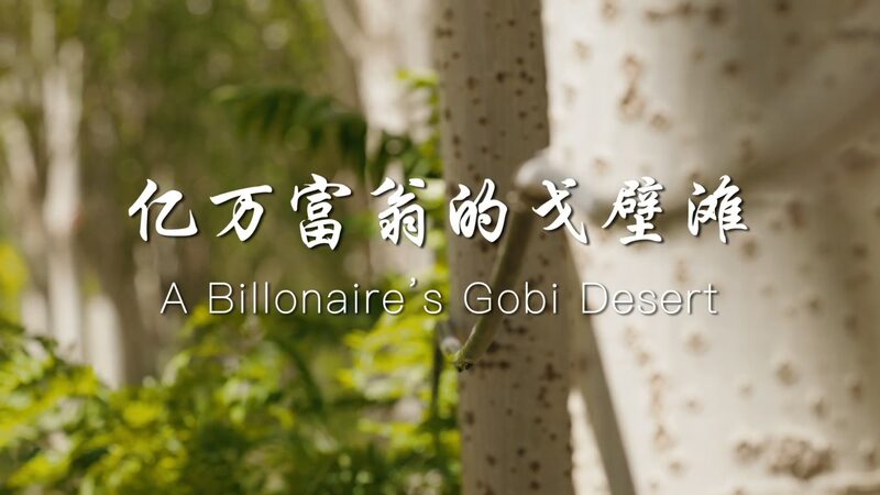 From_Desert_Dust_to_Wine_Must__A_Billionaire_s_Gobi_Vineyard_Dream__ video poster