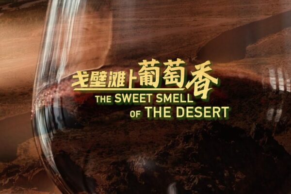 From Desert Sands to Vineyards: Ningxia’s Wine Revolution From_Desert_Sands_to_Vineyards__Ningxia_s_Wine_Revolution video poster