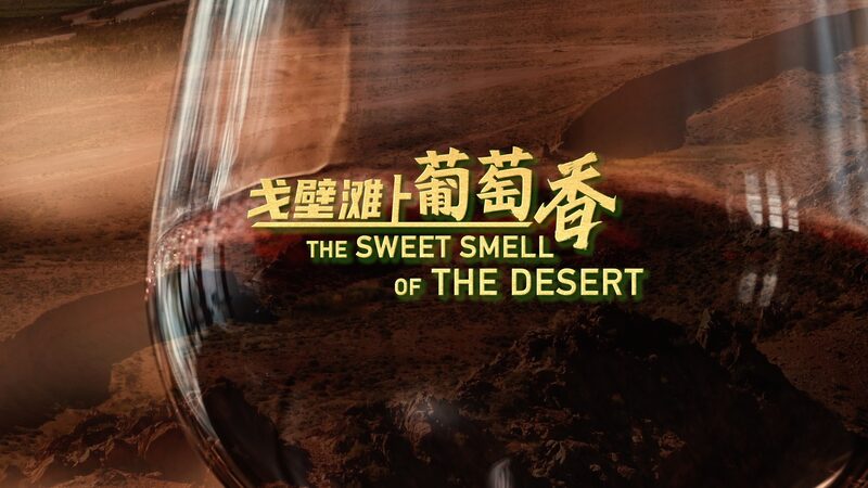 From_Desert_Sands_to_Vineyards__Ningxia_s_Wine_Revolution_poster - News for amigos, by amigos From_Desert_Sands_to_Vineyards__Ningxia_s_Wine_Revolution video poster