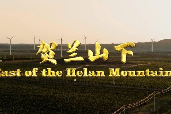 From Desert to Vineyard: Ningxia’s Incredible Transformation into a Wine Wonderland From_Desert_to_Vineyard__Ningxia_s_Incredible_Transformation_into_a_Wine_Wonderland video poster