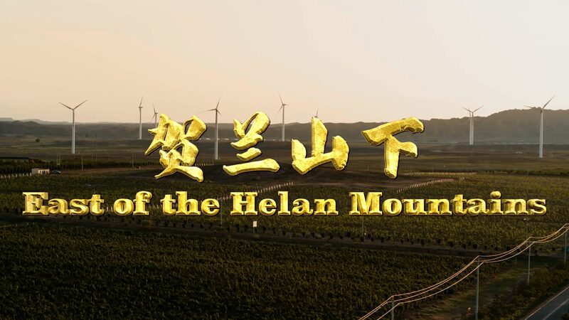 From_Desert_to_Vineyard__Ningxia_s_Incredible_Transformation_into_a_Wine_Wonderland_poster - News for amigos, by amigos From_Desert_to_Vineyard__Ningxia_s_Incredible_Transformation_into_a_Wine_Wonderland video poster