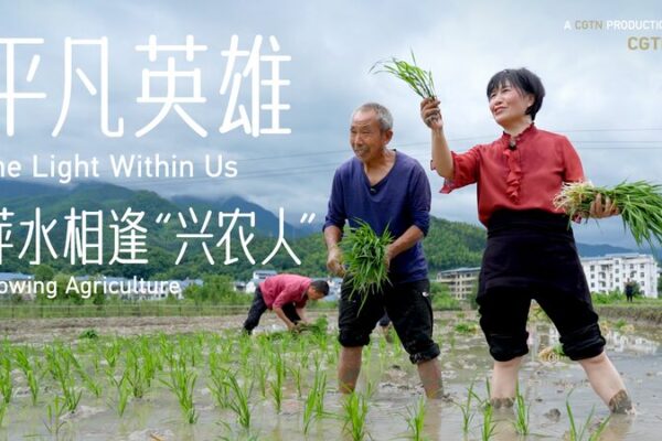 🌾 From Fields to Fortune: How Tan Xinping is Transforming Maodian Village! __From_Fields_to_Fortune__How_Tan_Xinping_is_Transforming_Maodian_Village_ video poster
