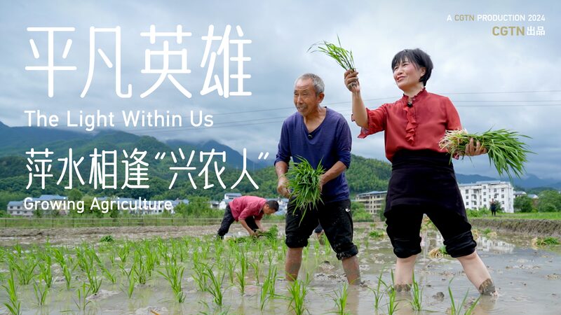 From_Fields_to_Fortune__How_Tan_Xinping_is_Transforming_Maodian_Village__poster - News for amigos, by amigos __From_Fields_to_Fortune__How_Tan_Xinping_is_Transforming_Maodian_Village_ video poster