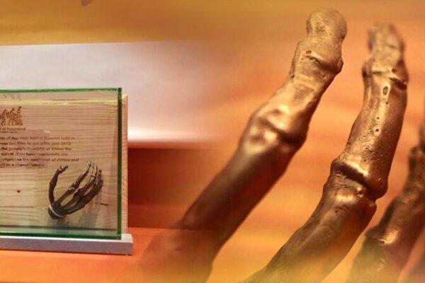 From_Fossil_Gifts_to_Gaming_Legends__How_Asia_is_Connecting_Cultures_Worldwide