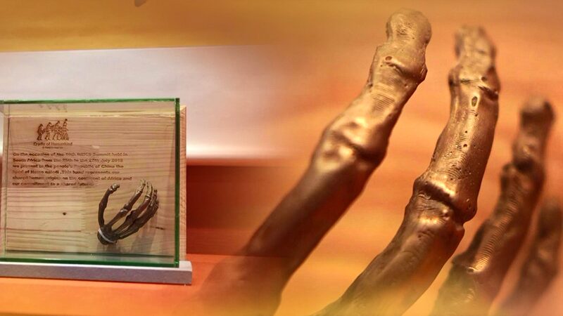 From_Fossil_Gifts_to_Gaming_Legends__How_Asia_is_Connecting_Cultures_Worldwide - News for amigos, by amigos From_Fossil_Gifts_to_Gaming_Legends__How_Asia_is_Connecting_Cultures_Worldwide