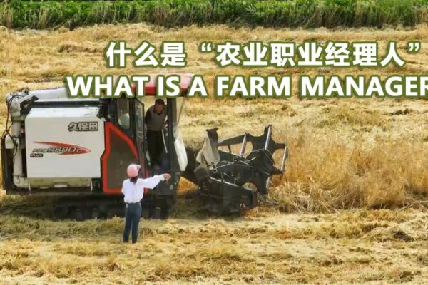 From Grad to Grain: How One Young Woman Revived Her Hometown Farm 🌾 From_Grad_to_Grain__How_One_Young_Woman_Revived_Her_Hometown_Farm__ video poster