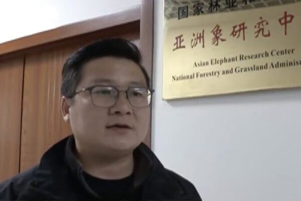 From Herding Cows to Protecting Elephants: Meet China’s Wildlife Guardian From_Herding_Cows_to_Protecting_Elephants__Meet_China_s_Wildlife_Guardian