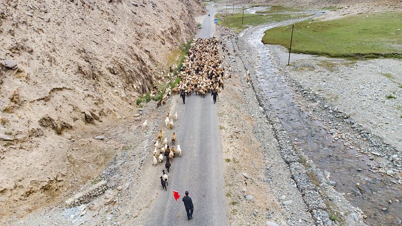 From_Horsebacks_to_Trucks__Xinjiang_Herders_Level_Up_Their_Livestock_Moves___poster - News for amigos, by amigos From_Horsebacks_to_Trucks__Xinjiang_Herders_Level_Up_Their_Livestock_Moves__ video poster