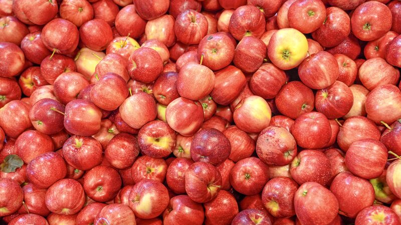 From_New_Zealand_to_China__The_Delicious_Journey_of_the_Gala_Apple - News for amigos, by amigos From_New_Zealand_to_China__The_Delicious_Journey_of_the_Gala_Apple