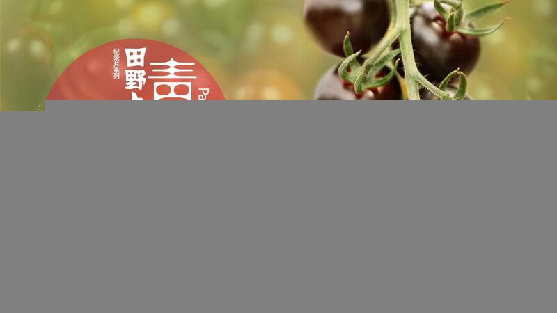 From_PhD_Dreams_to_Tomato_Teams__Xu_Dan_s_Farming_Revolution_Near_Beijing_poster - News for amigos, by amigos From_PhD_Dreams_to_Tomato_Teams__Xu_Dan_s_Farming_Revolution_Near_Beijing video poster