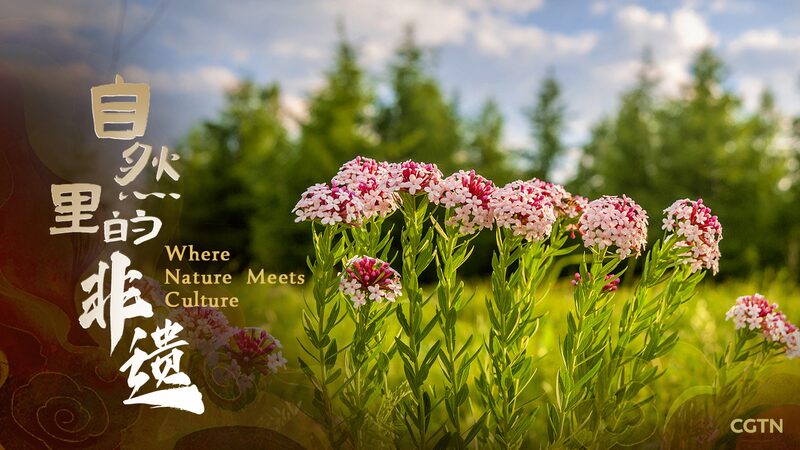 From_Poison_to_Paper__Tibet_s_Ancient_Craft_of_Papermaking_Unveiled___ video poster