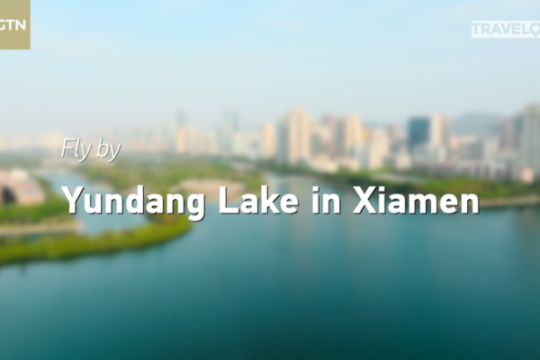 From Polluted Past to Egret Paradise: Yundang Lake’s Transformation in Xiamen 🌊🐦 From_Polluted_Past_to_Egret_Paradise__Yundang_Lake_s_Transformation_in_Xiamen___ video poster