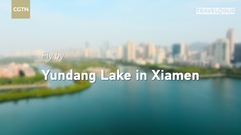 From_Polluted_Past_to_Egret_Paradise__Yundang_Lake_s_Transformation_in_Xiamen____poster - News for amigos, by amigos From_Polluted_Past_to_Egret_Paradise__Yundang_Lake_s_Transformation_in_Xiamen___ video poster