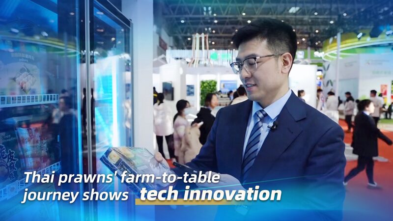 From_Pond_to_Plate__How_Tech_is_Transforming_Thai_Prawns___poster - News for amigos, by amigos From_Pond_to_Plate__How_Tech_is_Transforming_Thai_Prawns__ video poster