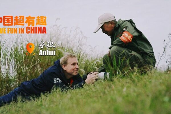 From Russia to Anhui: A Photographer’s Quest to Capture Oriental Storks 🕊️ From_Russia_to_Anhui__A_Photographer_s_Quest_to_Capture_Oriental_Storks___ video poster