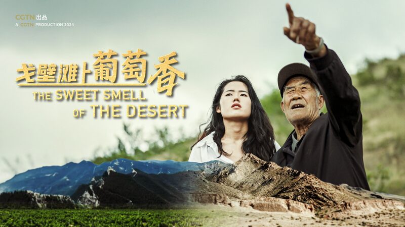 From_Sand_to_Sips__China_s_Gobi_Desert_Now_Home_to_Thriving_Vineyards___poster - News for amigos, by amigos From_Sand_to_Sips__China_s_Gobi_Desert_Now_Home_to_Thriving_Vineyards__ video poster