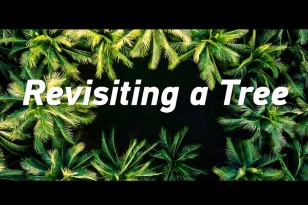 From Sapling to Symbol: Han Bin Revisits Zhaoshu Island’s Green Transformation From_Sapling_to_Symbol__Han_Bin_Revisits_Zhaoshu_Island_s_Green_Transformation video poster