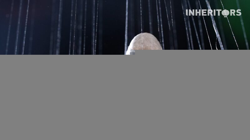 From_Silkworms_to_Art__The_Enchanting_Story_of_Silk___