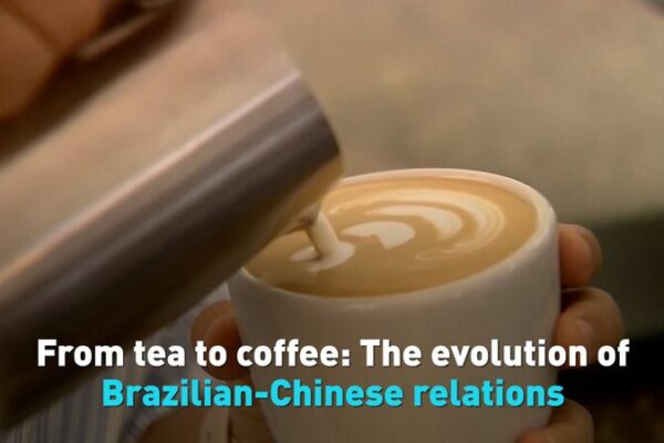 From_Tea_Leaves_to_Trade__The_Evolution_of_Chinese_Brazilian_Relations video poster