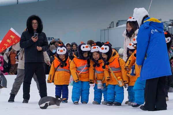 From Tropics to Snow: Guangxi Kids Warm Hearts in Heilongjiang From_Tropics_to_Snow__Guangxi_Kids_Warm_Hearts_in_Heilongjiang