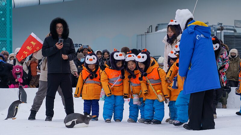 From_Tropics_to_Snow__Guangxi_Kids_Warm_Hearts_in_Heilongjiang