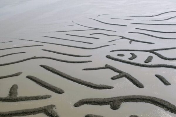 Fujian’s Fishermen Create ‘Oracle Bone Scripts’ on the Seashore Fujian_s_Fishermen_Create__Oracle_Bone_Scripts__on_the_Seashore video poster