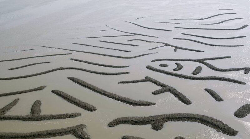 Fujian_s_Fishermen_Create__Oracle_Bone_Scripts__on_the_Seashore_poster - News for amigos, by amigos Fujian_s_Fishermen_Create__Oracle_Bone_Scripts__on_the_Seashore video poster