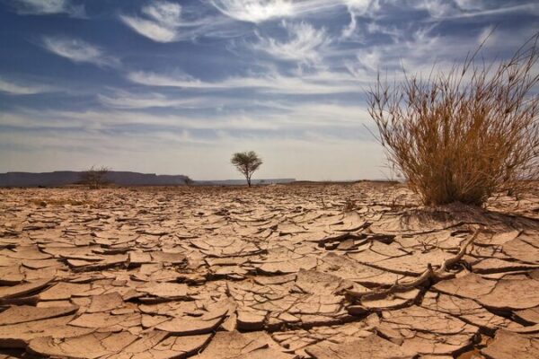 🌱💡 Funding Shortage Stalls Climate Action in Low-Income Countries, Study Reveals ___Funding_Shortage_Stalls_Climate_Action_in_Low_Income_Countries__Study_Reveals
