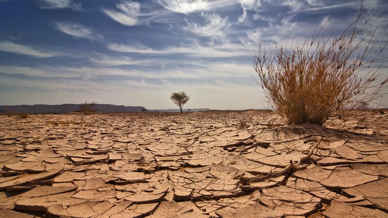 Funding_Shortage_Stalls_Climate_Action_in_Low_Income_Countries__Study_Reveals - News for amigos, by amigos ___Funding_Shortage_Stalls_Climate_Action_in_Low_Income_Countries__Study_Reveals