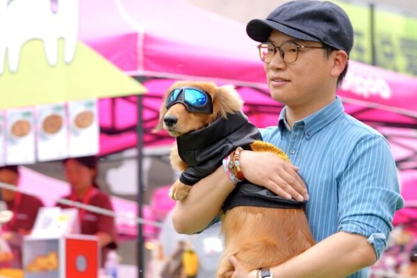 Furry Fashionistas: Pet-Owner Duos Dazzle at Beijing’s Unique Runway Show Furry_Fashionistas__Pet_Owner_Duos_Dazzle_at_Beijing_s_Unique_Runway_Show video poster