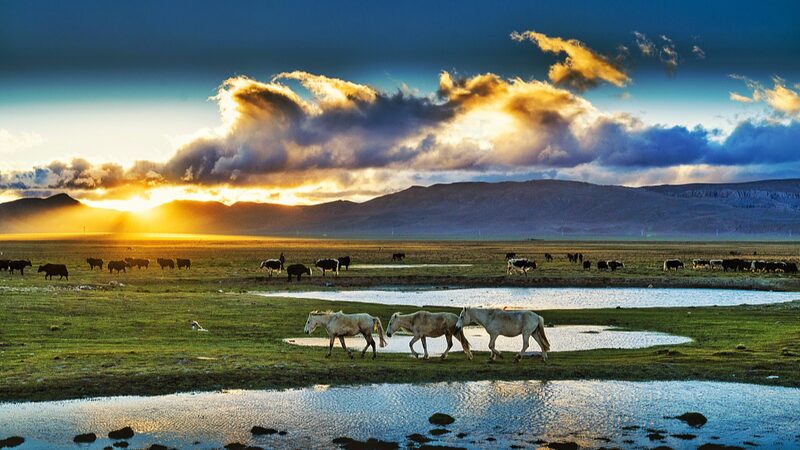 Future_Forecast__Northern_Qinghai_Xizang_Plateau_Set_to_Get_Warmer_and_Wetter___ - News for amigos, by amigos Future_Forecast__Northern_Qinghai_Xizang_Plateau_Set_to_Get_Warmer_and_Wetter___