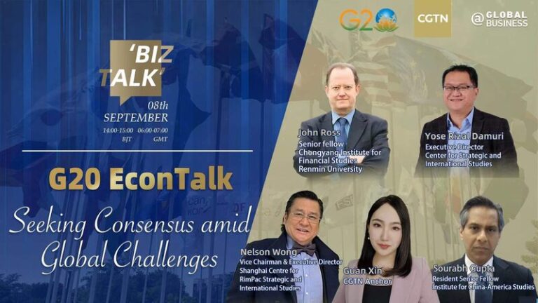 G20_2023__Can_Global_Leaders_Unite_for_a_Better_Future___ video poster