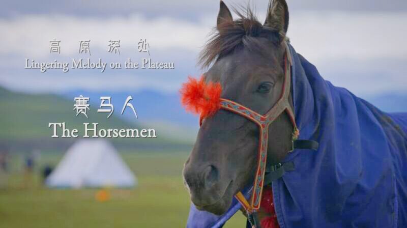 Galloping_Glory__Horse_Racing_Festivals_in_Xizang_s_Majestic_Plateau_____poster - News for amigos, by amigos Galloping_Glory__Horse_Racing_Festivals_in_Xizang_s_Majestic_Plateau____ video poster