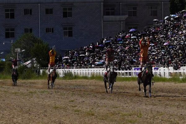 Galloping Tradition: Shoton Festival’s Thrilling Horse Races in Lhasa Galloping_Tradition__Shoton_Festival_s_Thrilling_Horse_Races_in_Lhasa video poster