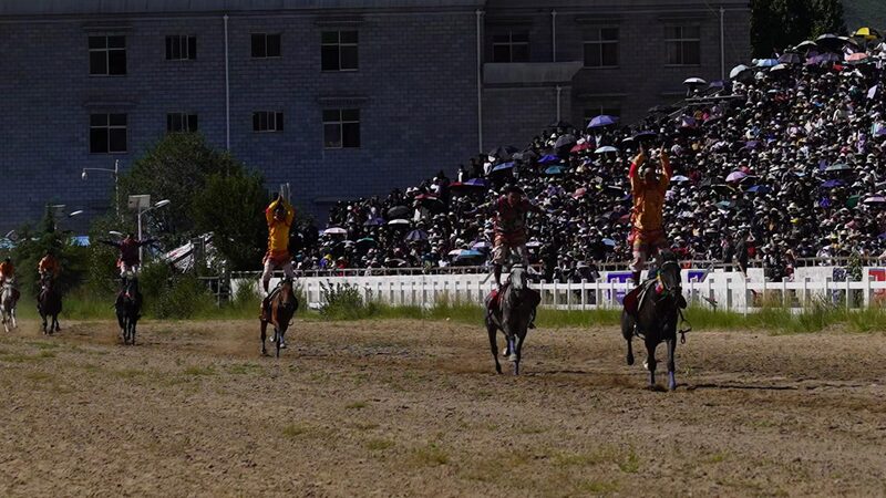 Galloping_Tradition__Shoton_Festival_s_Thrilling_Horse_Races_in_Lhasa_poster - News for amigos, by amigos Galloping_Tradition__Shoton_Festival_s_Thrilling_Horse_Races_in_Lhasa video poster