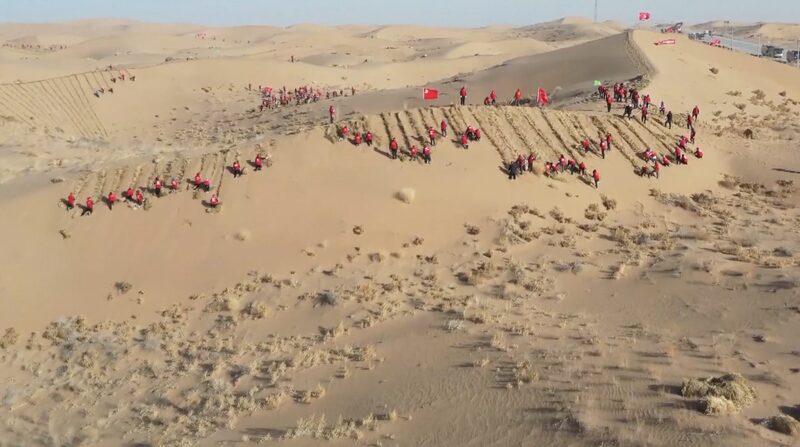 __Gansu_s_Green_Revolution__190_000_Hectares_to_be_Afforested_in_2024 video poster