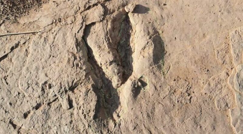 Giant_Two_Toed_Dinosaur_Tracks_Unearthed_in_Fujian__China__ - News for amigos, by amigos Giant_Two_Toed_Dinosaur_Tracks_Unearthed_in_Fujian__China__