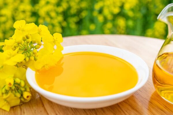 Global Food Prices Bounce Back After 7 Months: FAO Reports Spike in Vegetable Oils Global_Food_Prices_Bounce_Back_After_7_Months__FAO_Reports_Spike_in_Vegetable_Oils