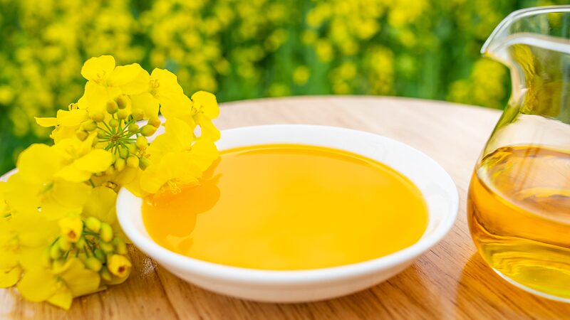 Global_Food_Prices_Bounce_Back_After_7_Months__FAO_Reports_Spike_in_Vegetable_Oils - News for amigos, by amigos Global_Food_Prices_Bounce_Back_After_7_Months__FAO_Reports_Spike_in_Vegetable_Oils