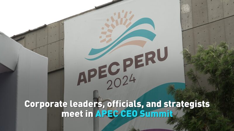 Global_Leaders_Unite_at_APEC_CEO_Summit_in_Lima__ video poster