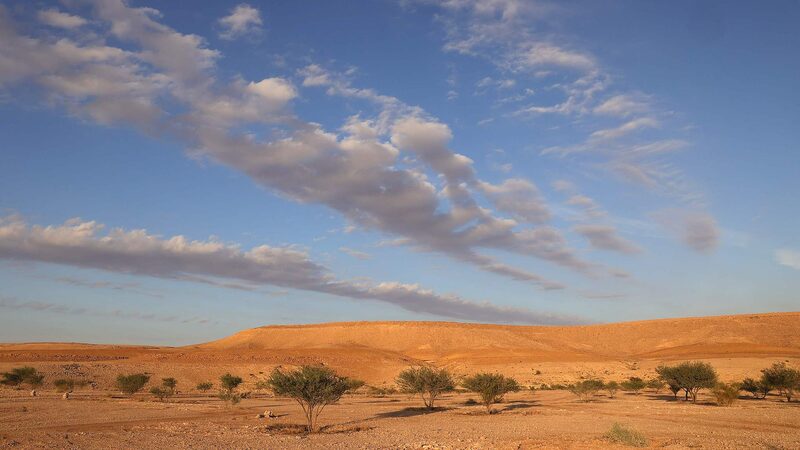 Global_Leaders_Unite_at_COP16_in_Saudi_Arabia_to_Combat_Desertification___ - News for amigos, by amigos Global_Leaders_Unite_at_COP16_in_Saudi_Arabia_to_Combat_Desertification___