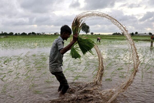 🌊 Global Water Crisis Could Halve Food Production by 2050, Report Warns __Global_Water_Crisis_Could_Halve_Food_Production_by_2050__Report_Warns