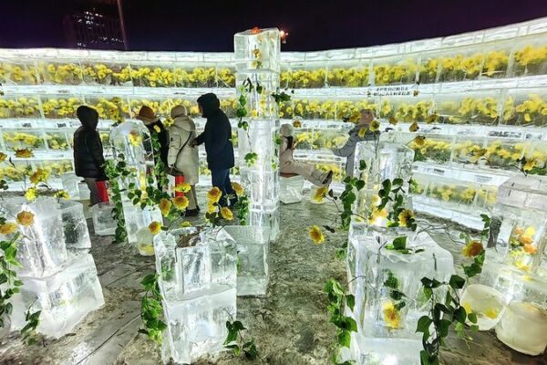 Golden Roses Frozen in Ice Illuminate Harbin’s Winter Wonderland Golden_Roses_Frozen_in_Ice_Illuminate_Harbin_s_Winter_Wonderland