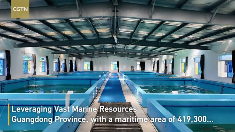 Guangdong_s_Offshore_Aquaculture_Revolutionizes_China_s_Farming___ video poster