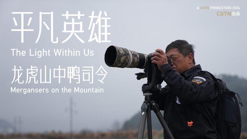 Guardian_of_the_Chinese_Merganser__One_Ranger_s_Quest_to_Save_the__Giant_Panda_of_Birds____poster - News for amigos, by amigos Guardian_of_the_Chinese_Merganser__One_Ranger_s_Quest_to_Save_the__Giant_Panda_of_Birds___ video poster